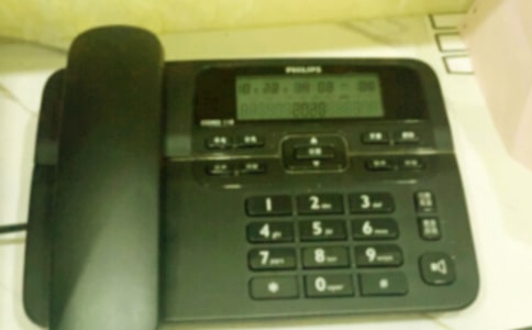 ���̎�����k���Ԓ���ż�