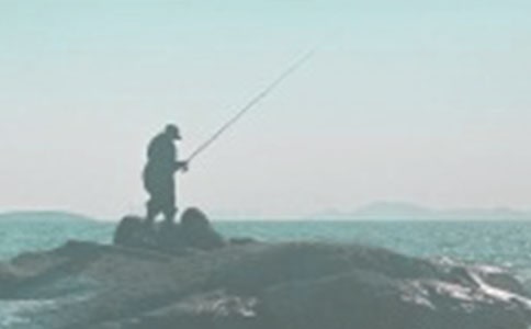 �����x����~(y��)ӛ15ƪ