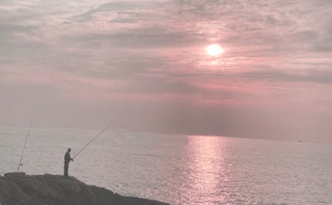 [�]]С؈��~���D��Ԓ14ƪ