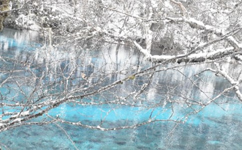 �ٺ���Ķ���Ҳ��ů������800��14ƪ�����T��