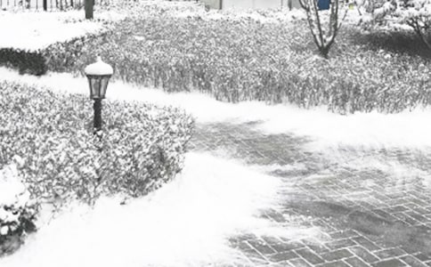 [��]�ٺ���Ķ���Ҳ��ů������15ƪ