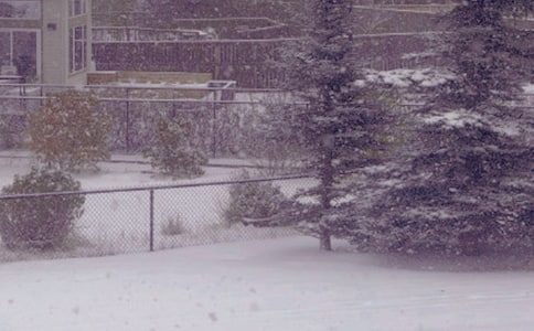 ����ů�(y��ng)����[����14ƪ]