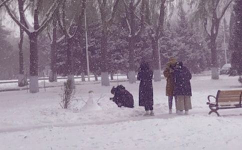 ����ů�(y��ng)���ġ��R��14ƪ��