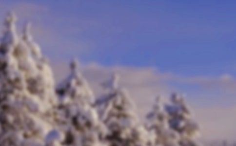 ����ѩ����Ԋ��