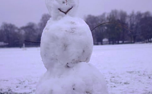 ���ϵĶ�������