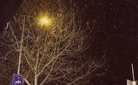 �茑�����Ԋ�侫Ʒ15ƪ