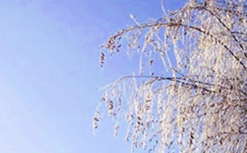 �茑����Ĺ�Ԋ���茑���������