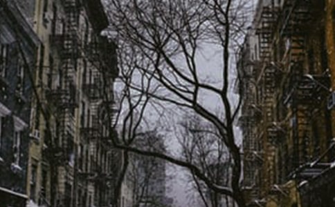 ���ϵĶ���̰�