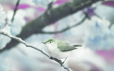 ��(d��ng)ֲ���^����ӛ