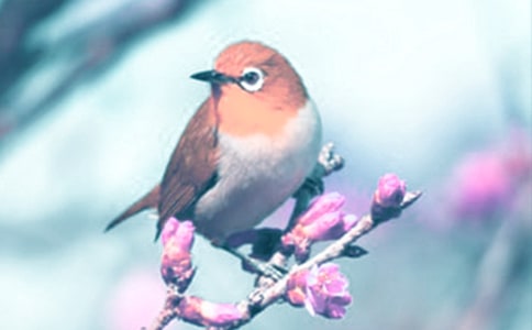 �^���(d��ng)ֲ�����ӛ