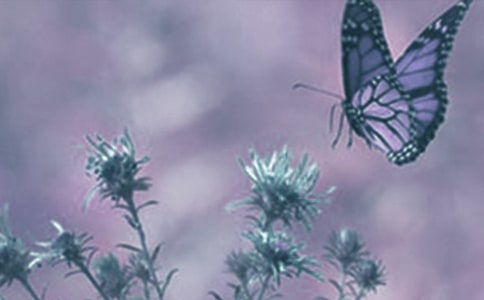 �^���ֲ�����ӛ