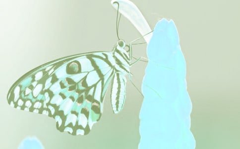 �M����ֲ��z�ߌ��������k��