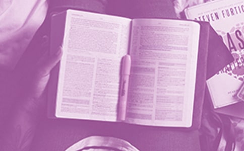 �����x���