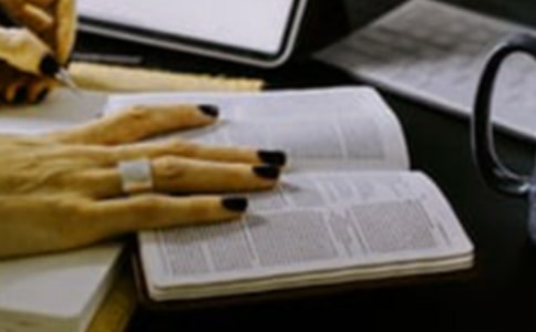 《彩色的翅膀》讀后感(精選15篇)