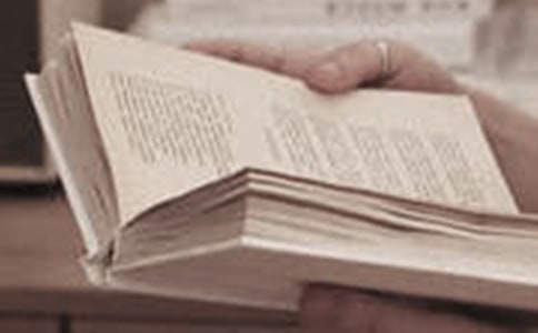 �x�������v�������