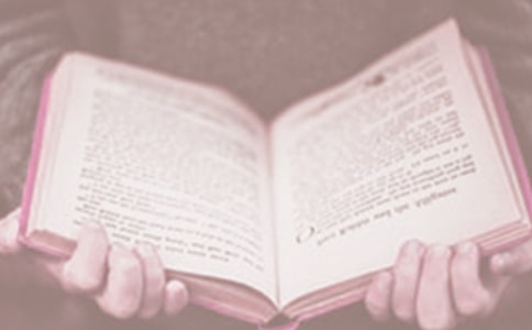 �����x���յ��ĵ��w��