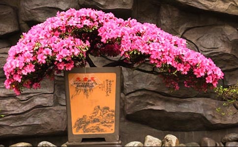 ٝ�����N����Ԋ���Ԋ��ȫ