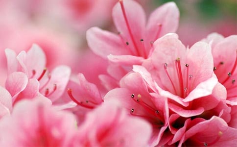 �茑���N����Ԋ��