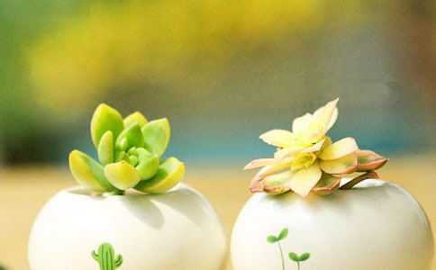 ����Ķ�������