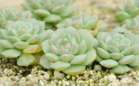 �N��������