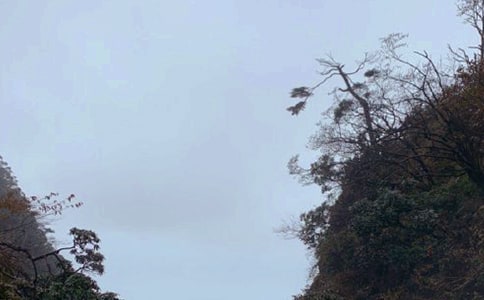 ��üɽ�^�ճ����Ľ�(j��ng)��[2ƪ]