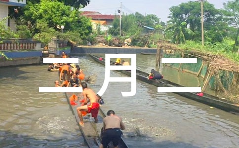 ���¶���13�N���y(t��ng)ʳ��