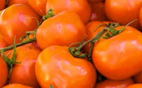 ��������̫ꖡ����̌W���