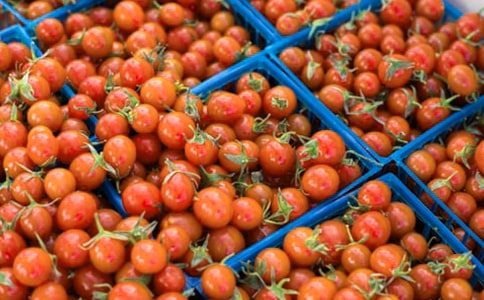 (��(j��ng)��)���ѵ�����