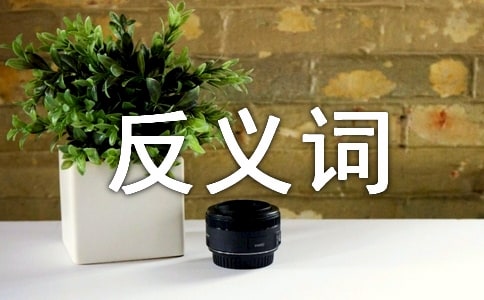 ����Ľ��x�~�ͷ��x�~�����