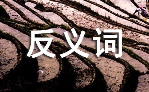 氣息的近義詞,反義詞及造句