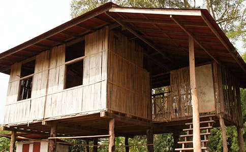 ��ֻС�i�w���ӵĹ���12ƪ�����x��