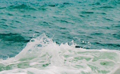 �w�B(ni��o)���~(y��)������ɢ��