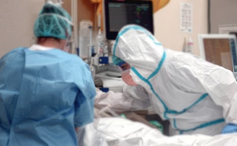 我的狗窩作文7篇【優(yōu)秀】