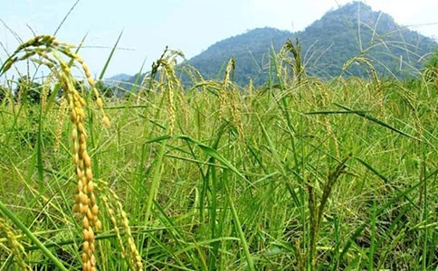 奮斗在新時代的春天讀后感范文(精選27篇)