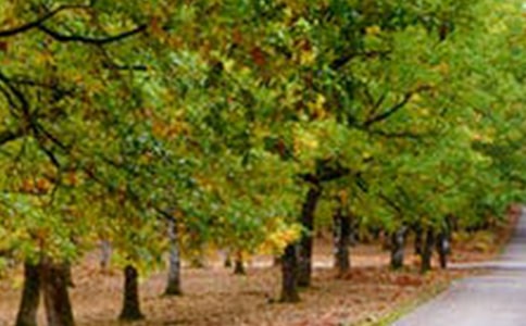 ���L(f��ng)����ӛ