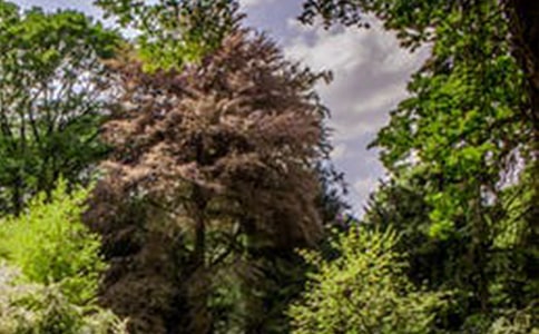 �P(gu��n)���L(f��ng)��������150��