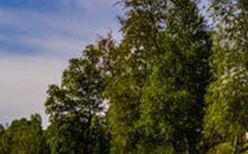 ɽˮ�L����Ԋ������Щ