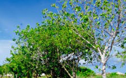 �L(f��ng)������