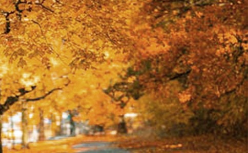 ���L(f��ng)����Ԋ��