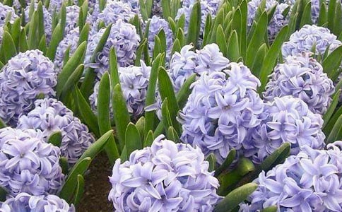 �L(f��ng)�������ľ��A��15ƪ��