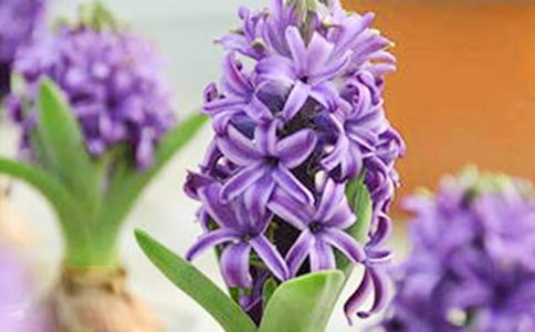 �L��������15ƪ(��Ʒ)