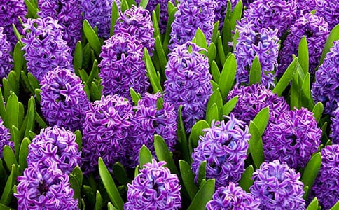 �L(f��ng)��������ͨ��15ƪ