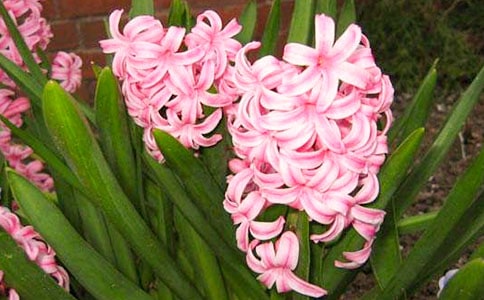 [���x]�L(f��ng)��������11ƪ