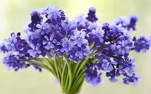 �����A���L(f��ng)��������13ƪ