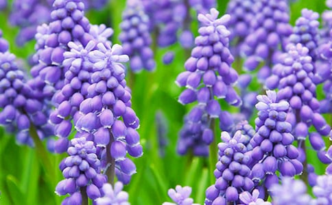 ���]���L��������14ƪ