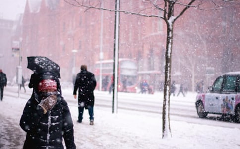 【精品】風雪的作文300字4篇