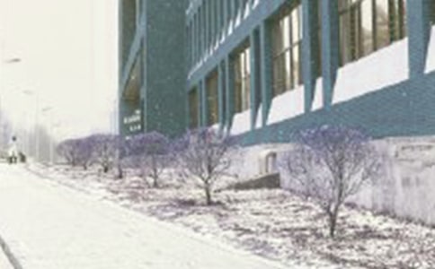 �L(f��ng)ѩ��_600��