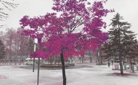 �Lѩ��Ԋ��160��