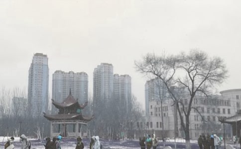 �茑�L(f��ng)ѩ�����ĳ��Z