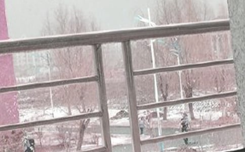 (實(shí)用)暴風(fēng)雪作文11篇